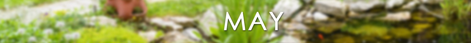 things to do in may